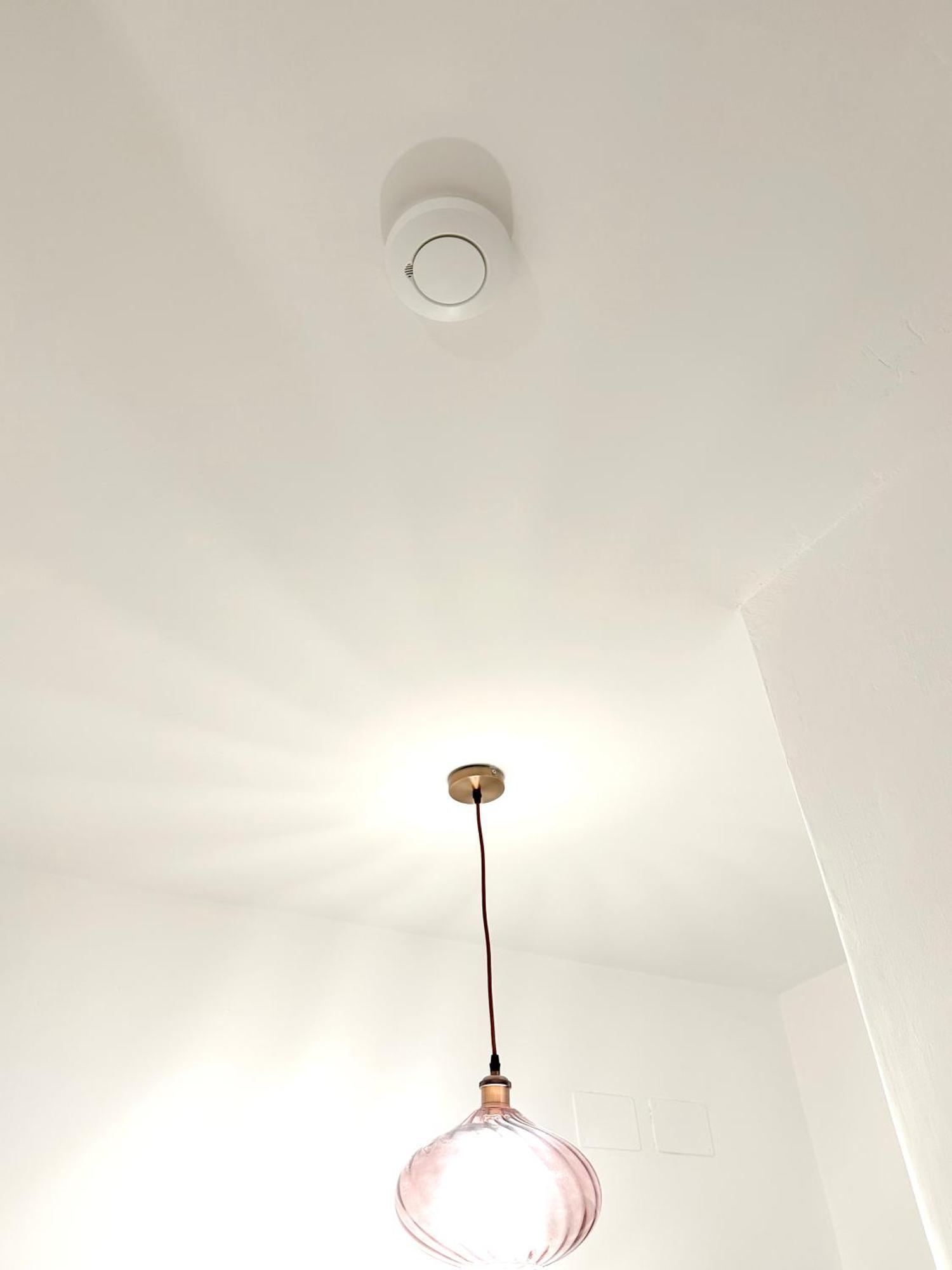 Royal Domus Of Apartamento